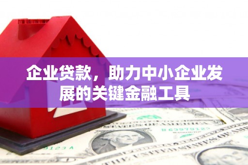 民雄企业贷款，助力中小企业发展的关键金融工具