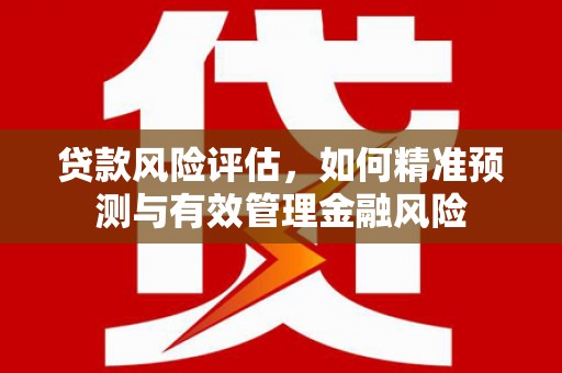 民雄贷款风险评估，如何精准预测与有效管理金融风险