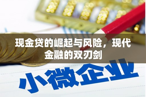 民雄现金贷的崛起与风险，现代金融的双刃剑