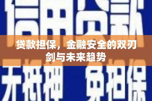 民雄贷款担保，金融安全的双刃剑与未来趋势