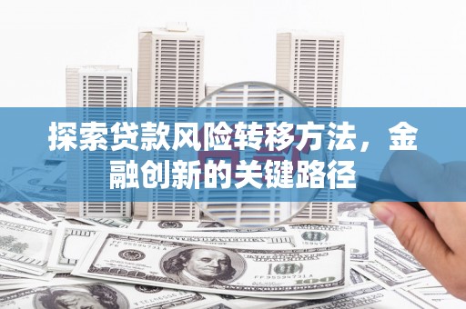 民雄探索贷款风险转移方法，金融创新的关键路径