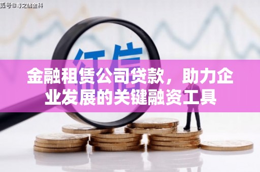 民雄金融租赁公司贷款，助力企业发展的关键融资工具