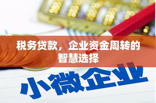 民雄税务贷款，企业资金周转的智慧选择