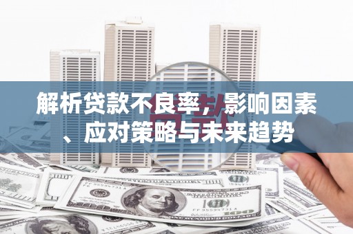 民雄解析贷款不良率，影响因素、应对策略与未来趋势