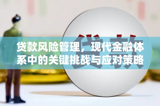 民雄贷款风险管理，现代金融体系中的关键挑战与应对策略