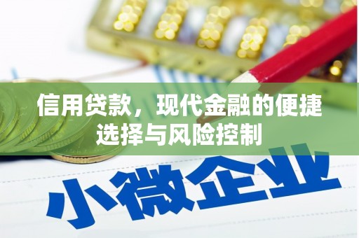 民雄信用贷款，现代金融的便捷选择与风险控制