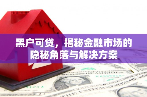 民雄黑户可贷，揭秘金融市场的隐秘角落与解决方案
