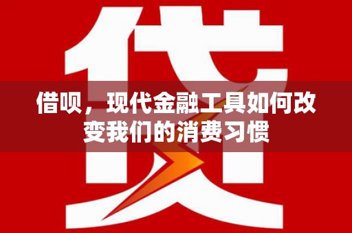 民雄借呗，现代金融工具如何改变我们的消费习惯