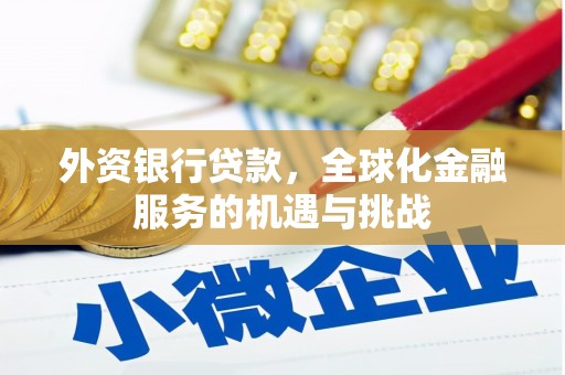 民雄外资银行贷款，全球化金融服务的机遇与挑战