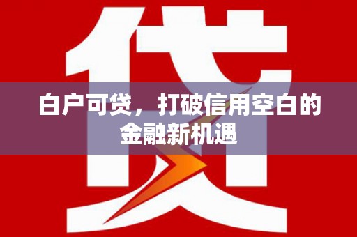 民雄白户可贷，打破信用空白的金融新机遇