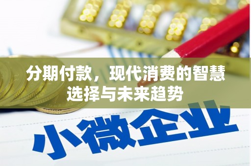 民雄分期付款，现代消费的智慧选择与未来趋势