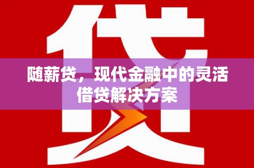 民雄随薪贷，现代金融中的灵活借贷解决方案