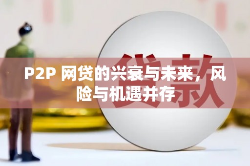 民雄P2P 网贷的兴衰与未来，风险与机遇并存