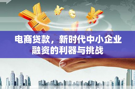 民雄电商贷款，新时代中小企业融资的利器与挑战