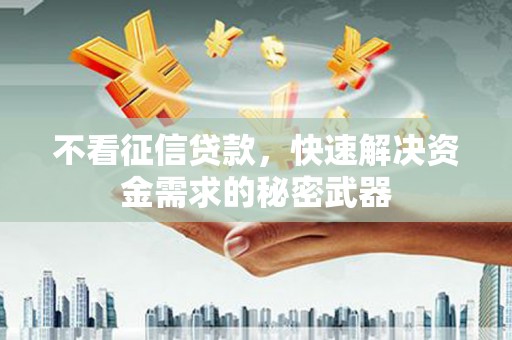 民雄不看征信贷款，快速解决资金需求的秘密武器