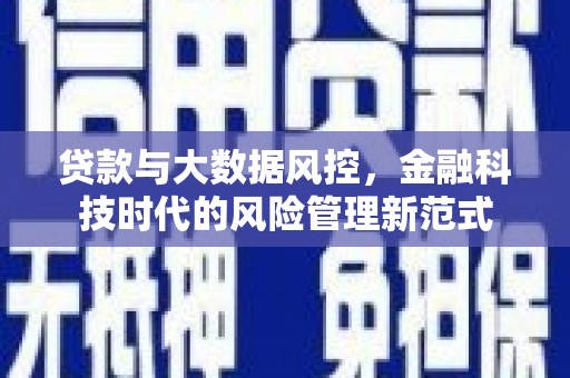 民雄贷款与大数据风控，金融科技时代的风险管理新范式