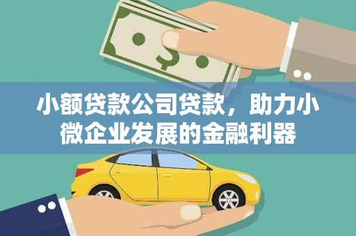 民雄小额贷款公司贷款，助力小微企业发展的金融利器