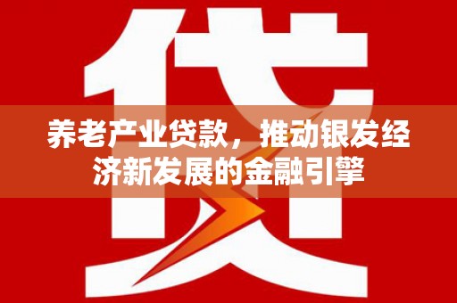 民雄养老产业贷款，推动银发经济新发展的金融引擎
