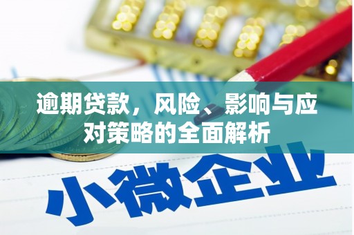 民雄逾期贷款，风险、影响与应对策略的全面解析