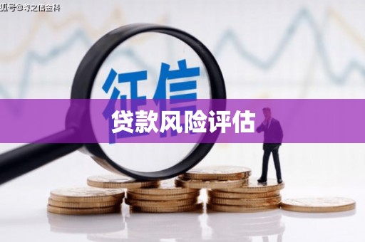 民雄贷款风险评估