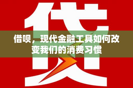 民雄借呗，现代金融工具如何改变我们的消费习惯