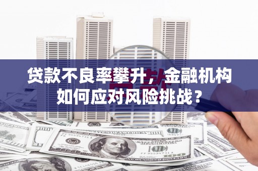 民雄贷款不良率攀升，金融机构如何应对风险挑战？