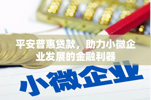 民雄平安普惠贷款，助力小微企业发展的金融利器
