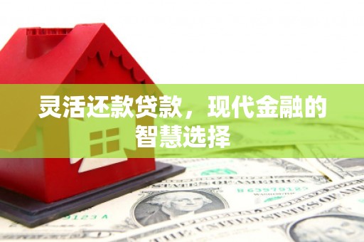 民雄灵活还款贷款，现代金融的智慧选择