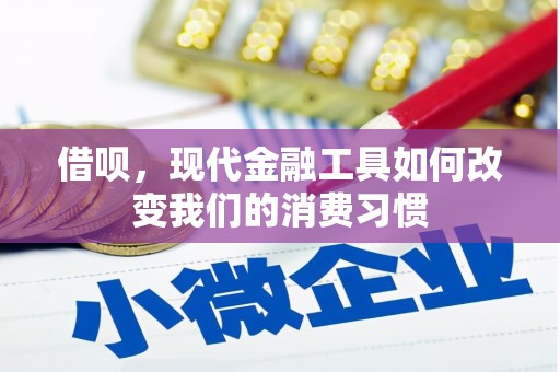 民雄借呗，现代金融工具如何改变我们的消费习惯