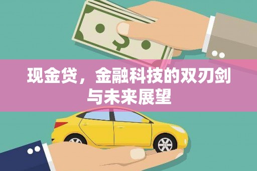 民雄现金贷，金融科技的双刃剑与未来展望