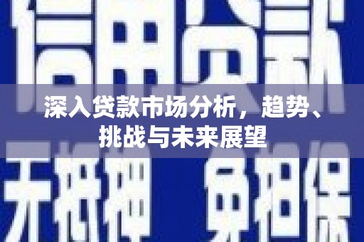 民雄深入贷款市场分析，趋势、挑战与未来展望
