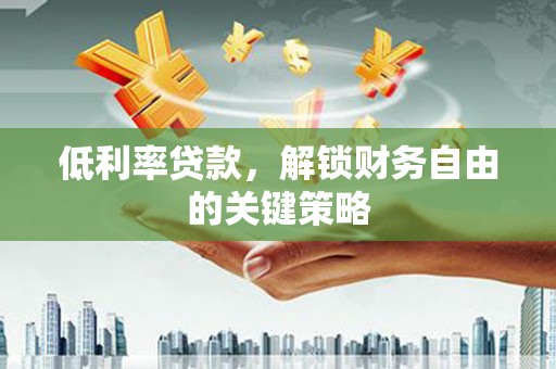 民雄低利率贷款，解锁财务自由的关键策略
