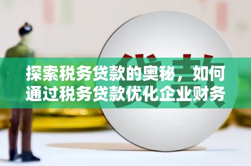 民雄探索税务贷款的奥秘，如何通过税务贷款优化企业财务
