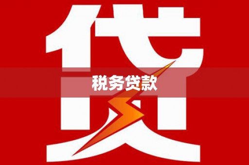 民雄税务贷款