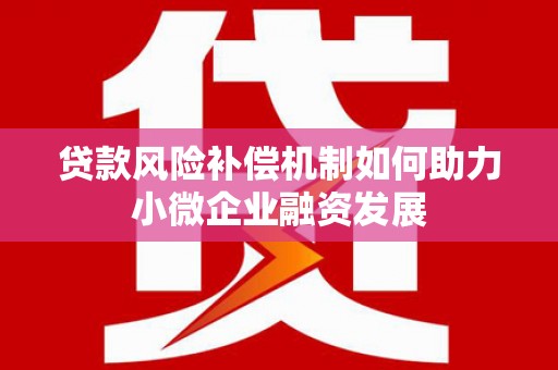 民雄贷款风险补偿机制如何助力小微企业融资发展