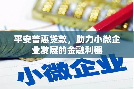 民雄平安普惠贷款，助力小微企业发展的金融利器