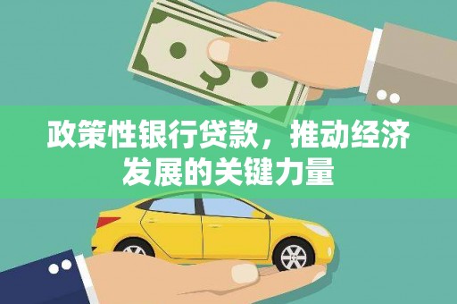 民雄政策性银行贷款，推动经济发展的关键力量