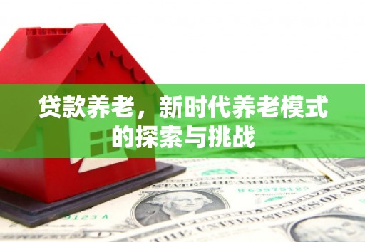 民雄贷款养老，新时代养老模式的探索与挑战