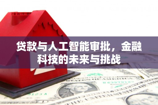 民雄贷款与人工智能审批，金融科技的未来与挑战