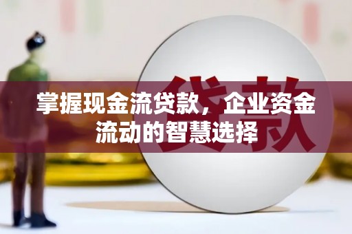 民雄掌握现金流贷款，企业资金流动的智慧选择