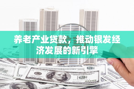 民雄养老产业贷款，推动银发经济发展的新引擎