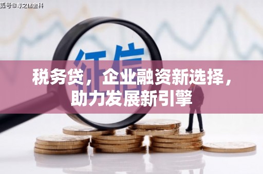 民雄税务贷，企业融资新选择，助力发展新引擎