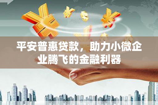 民雄平安普惠贷款，助力小微企业腾飞的金融利器