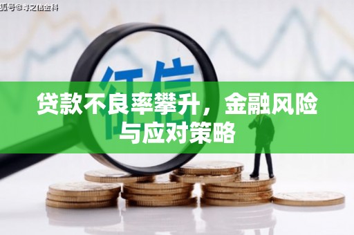 民雄贷款不良率攀升，金融风险与应对策略