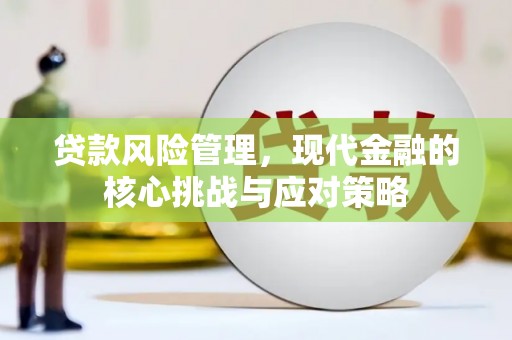民雄贷款风险管理，现代金融的核心挑战与应对策略