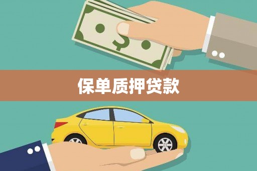 民雄保单质押贷款