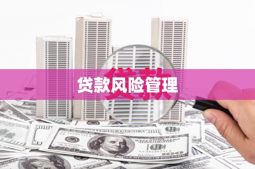 民雄贷款风险管理