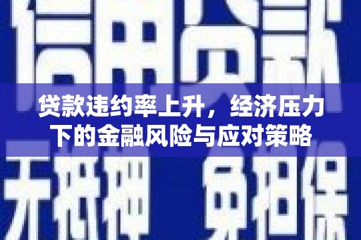 民雄贷款违约率上升，经济压力下的金融风险与应对策略