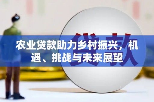 民雄农业贷款助力乡村振兴，机遇、挑战与未来展望