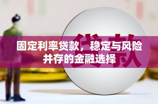民雄固定利率贷款，稳定与风险并存的金融选择